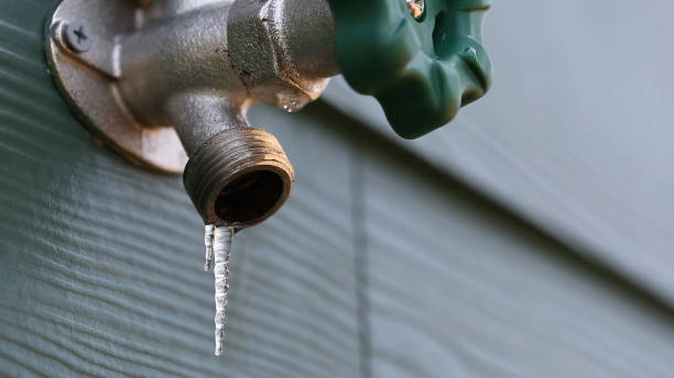 Best Sprinkler Systems  in Bayou Vista, TX