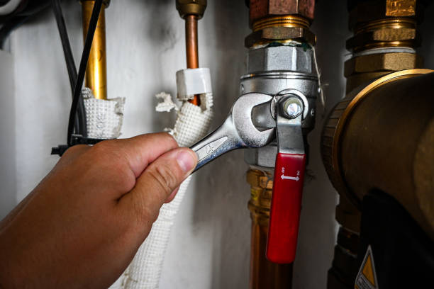 Best Toilet Repair Services  in Bayou Vista, TX